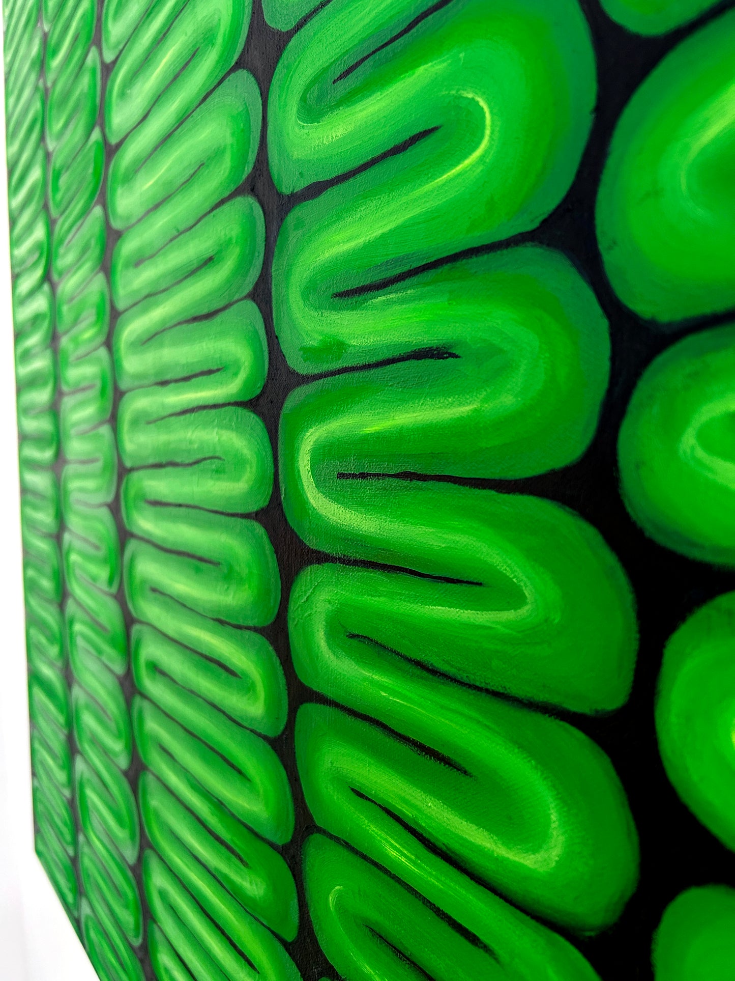 Chloroplast