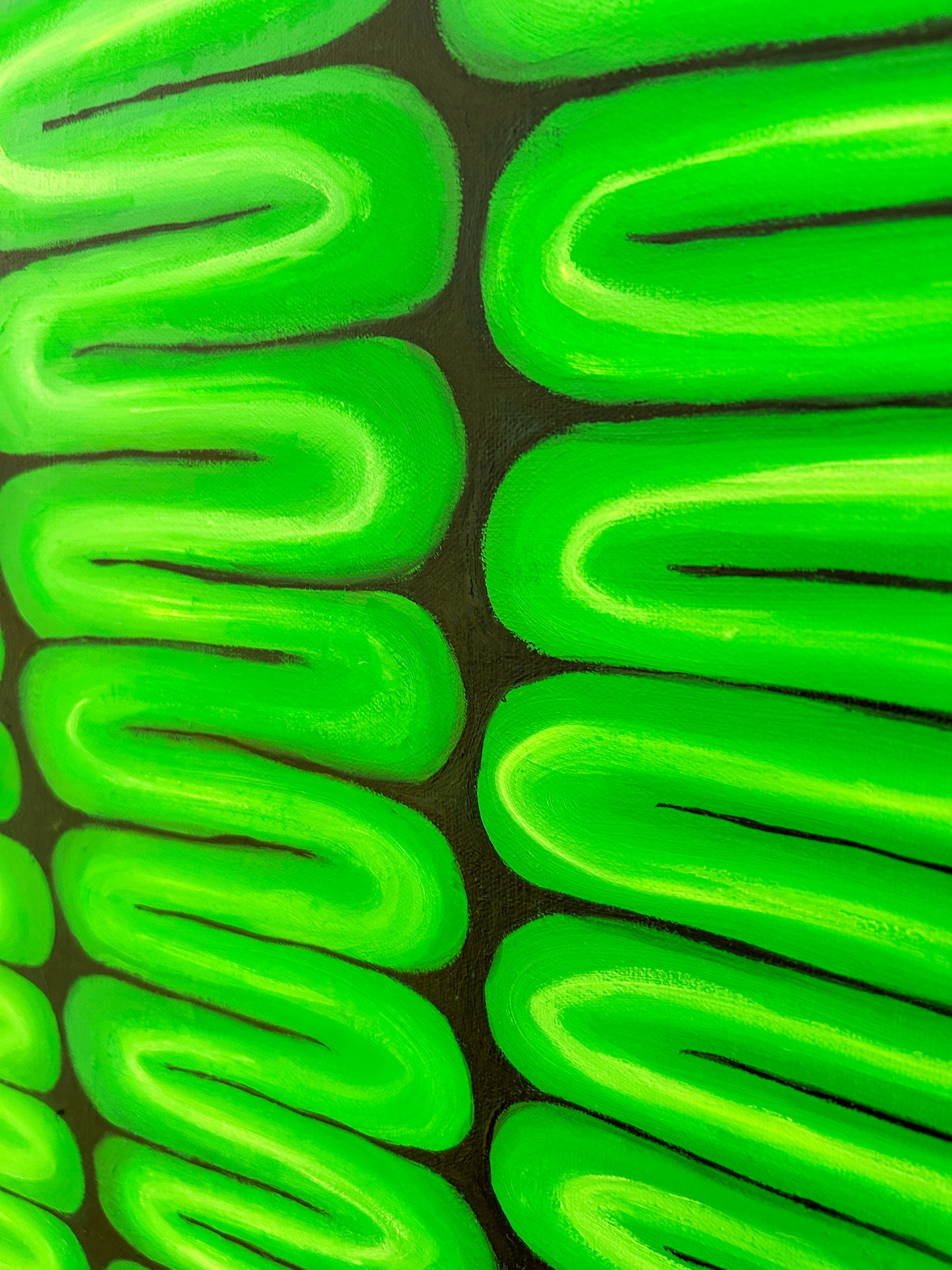 Chloroplast